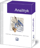 Analityk